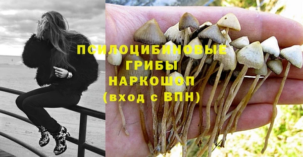 дурь Арсеньев