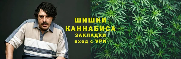 дурь Арсеньев