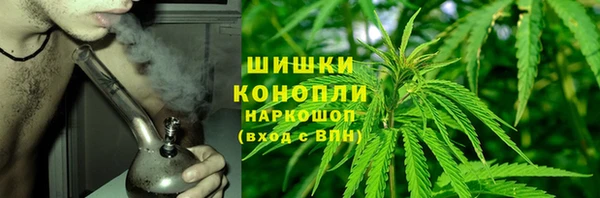 дурь Арсеньев